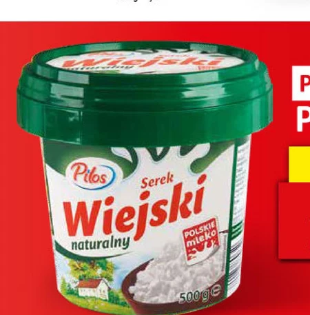 Serek wiejski Pilos