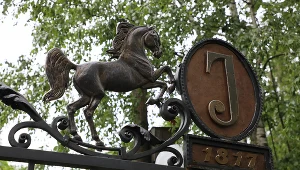 Stadnina w Janowie Podlaskim