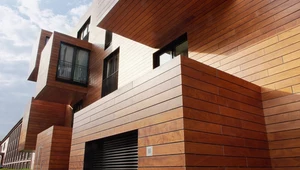 Drewniane budynki ekologiczne? Budowa z drewna obciążeniem dla klimatu