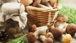 Polacy uwielbiają zbierać grzyby