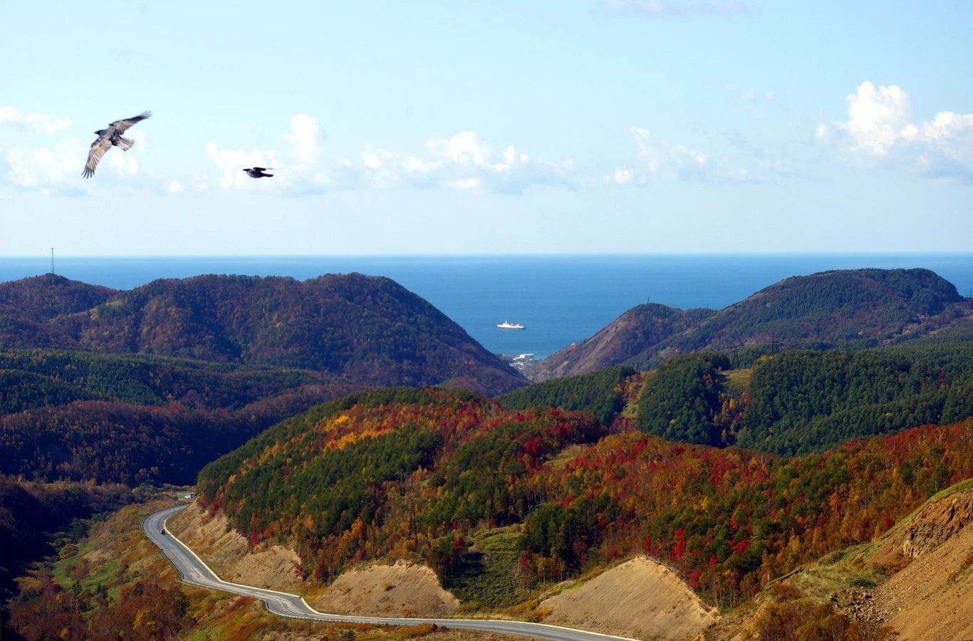 Opracowanie: IG Opracowanie: IG