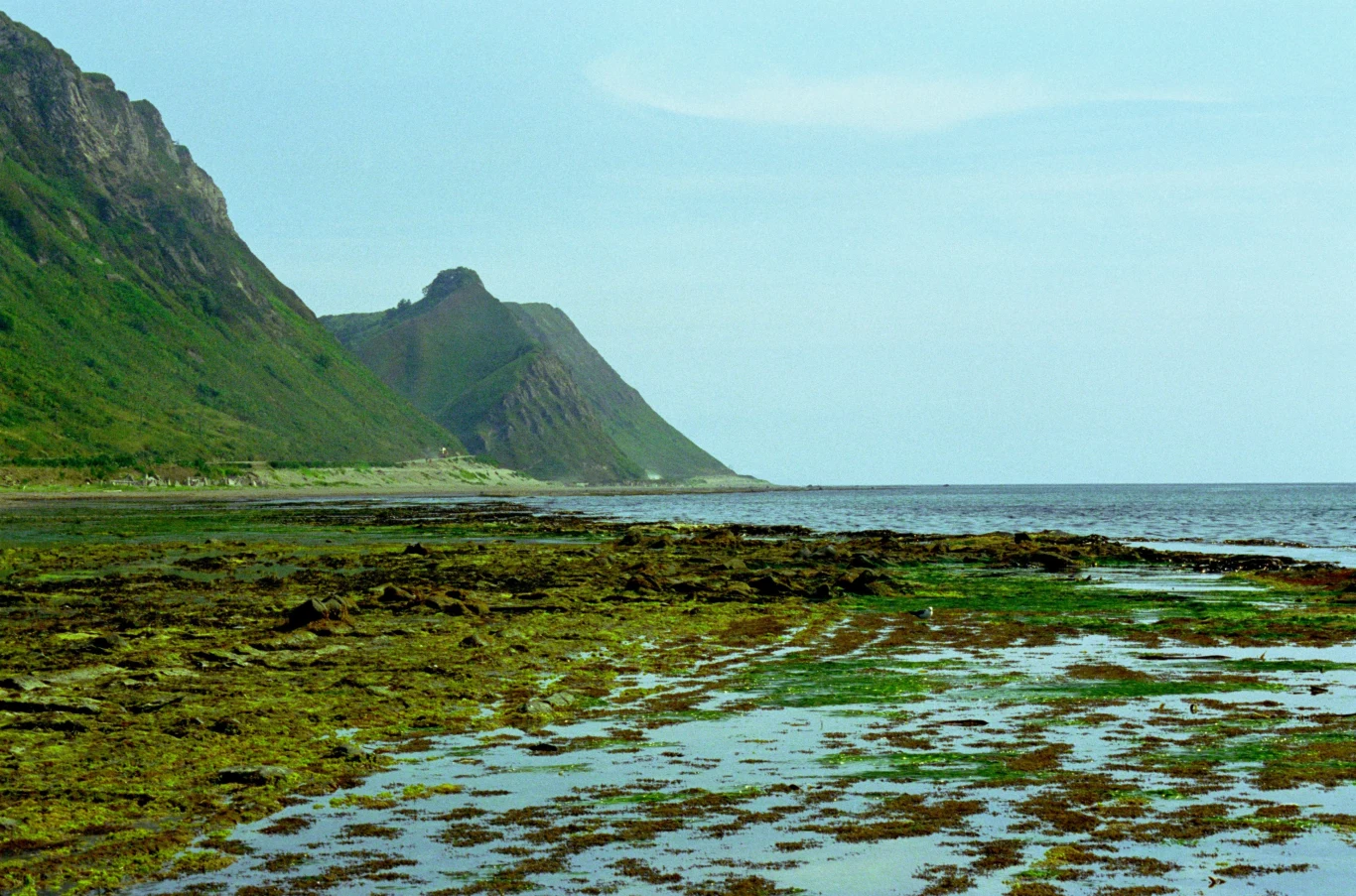 Krajobraz wyspy jest surowy. Gęsta tajga, góry, bagniska, strumienie – piękno tutejszej natury jest dzikie i niepokojące. Krajobraz wyspy jest surowy. Gęsta tajga, góry, bagniska, strumienie – piękno tutejszej natury jest dzikie i niepokojące.
