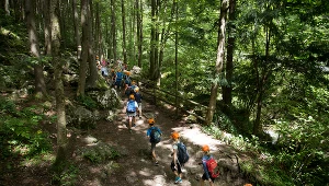 Grupa dzieci na wycieczce w lesie, zdjęcie ilustracyjne