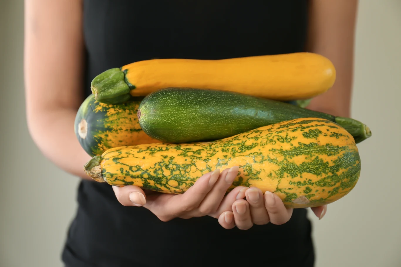 Cukinia wymaga odpowiednich zabiegów pielęgnacyjnych, aby móc cieszyć się w sezonie z obfitych plonów. 