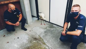 Na zdj. policjanci, którzy pomogli rannemu bocianowi