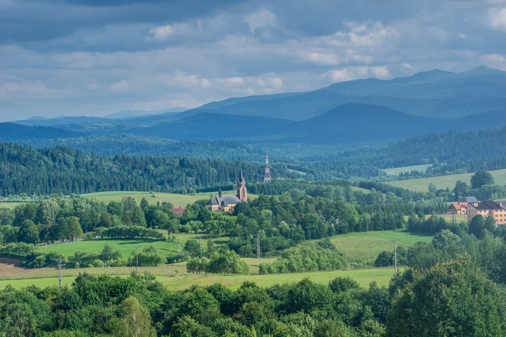 Historia miejscowości sięga XVI wieku. Słynęła na całą środkową Europę z wielkich jarmarków, które odbywały się aż dziesięć razy do roku. Na obszerny rynek jednorazowo spędzano z okolicznych połonin nawet kilka tysięcy sztuk bydła. Historia miejscowości sięga XVI wieku. Słynęła na całą środkową Europę z wielkich jarmarków, które odbywały się aż dziesięć razy do roku. Na obszerny rynek jednorazowo spędzano z okolicznych połonin nawet kilka tysięcy sztuk bydła.
