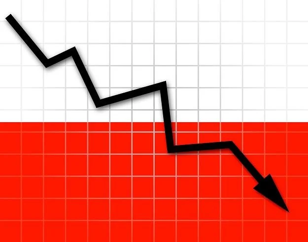 W tym roku deficyt finansów publicznych może przekroczyć 10 proc. PKB
W tym roku deficyt finansów publicznych może przekroczyć 10 proc. PKB