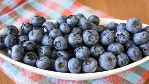 Polska wielkim graczem na rynku borówki amerykańskiej 