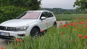 Volkswagen Tiguan 2.0 TSI – warto się czasem wyłamać ze schematów