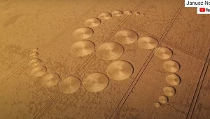 ​Nadarzyce: Kręgi w zbożu przyciągają ciekawskich