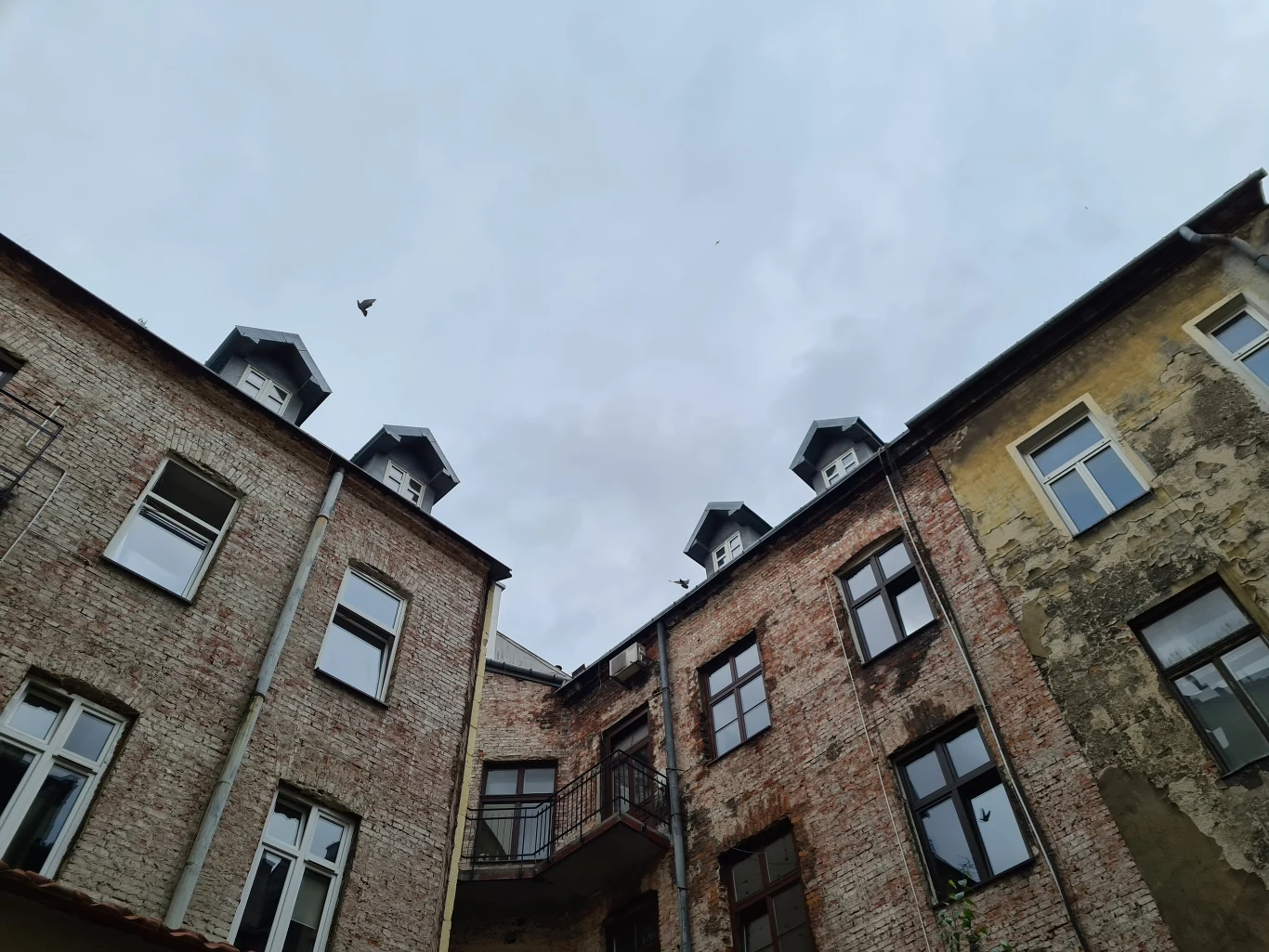 Zdjęcie wykonane Samsungiem Galaxy S20