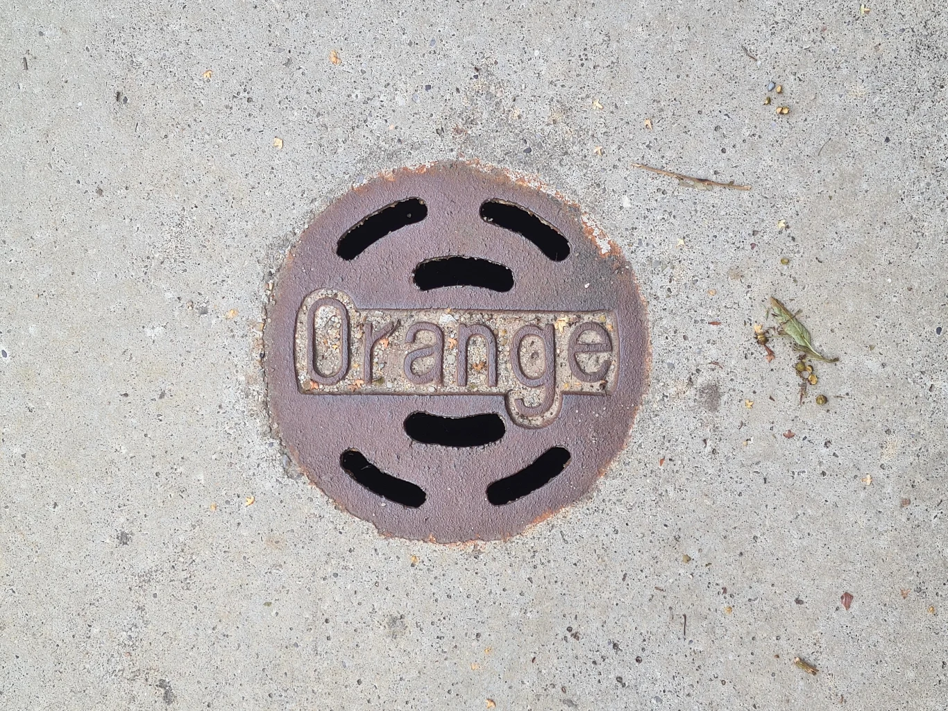 Zdjęcie wykonane Samsungiem Galaxy S20