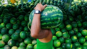 Sprzedaż arbuzów; zdj. ilustracyjne