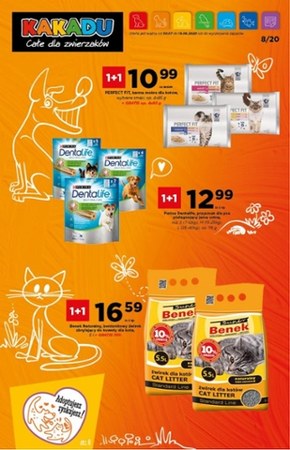 Oferta dla pupila - Kakadu!