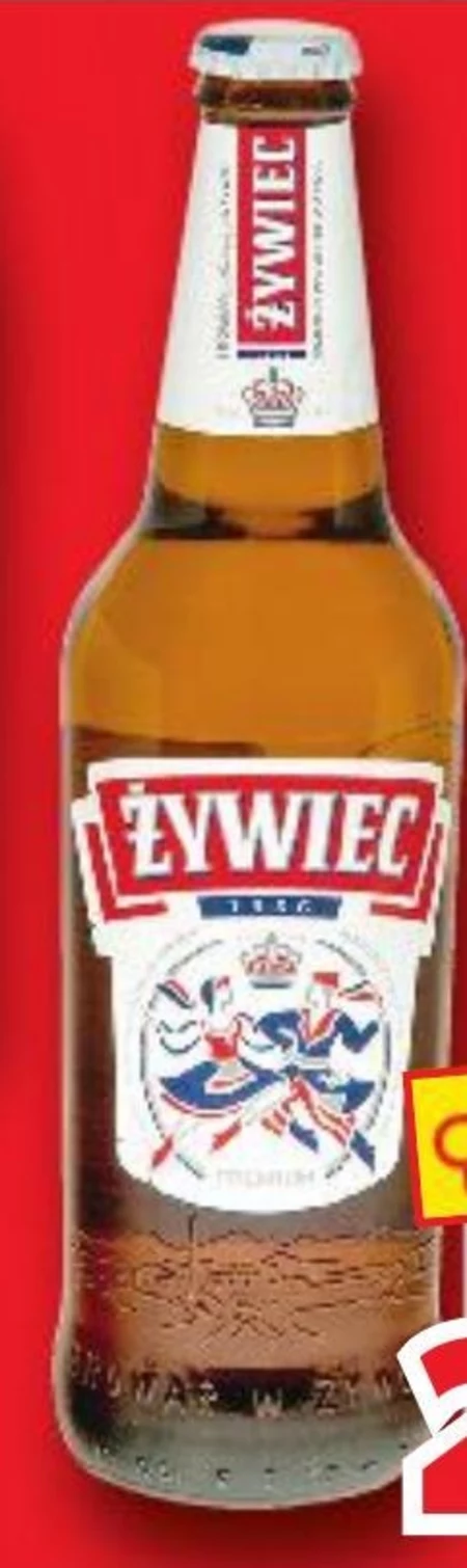Piwo Żywiec