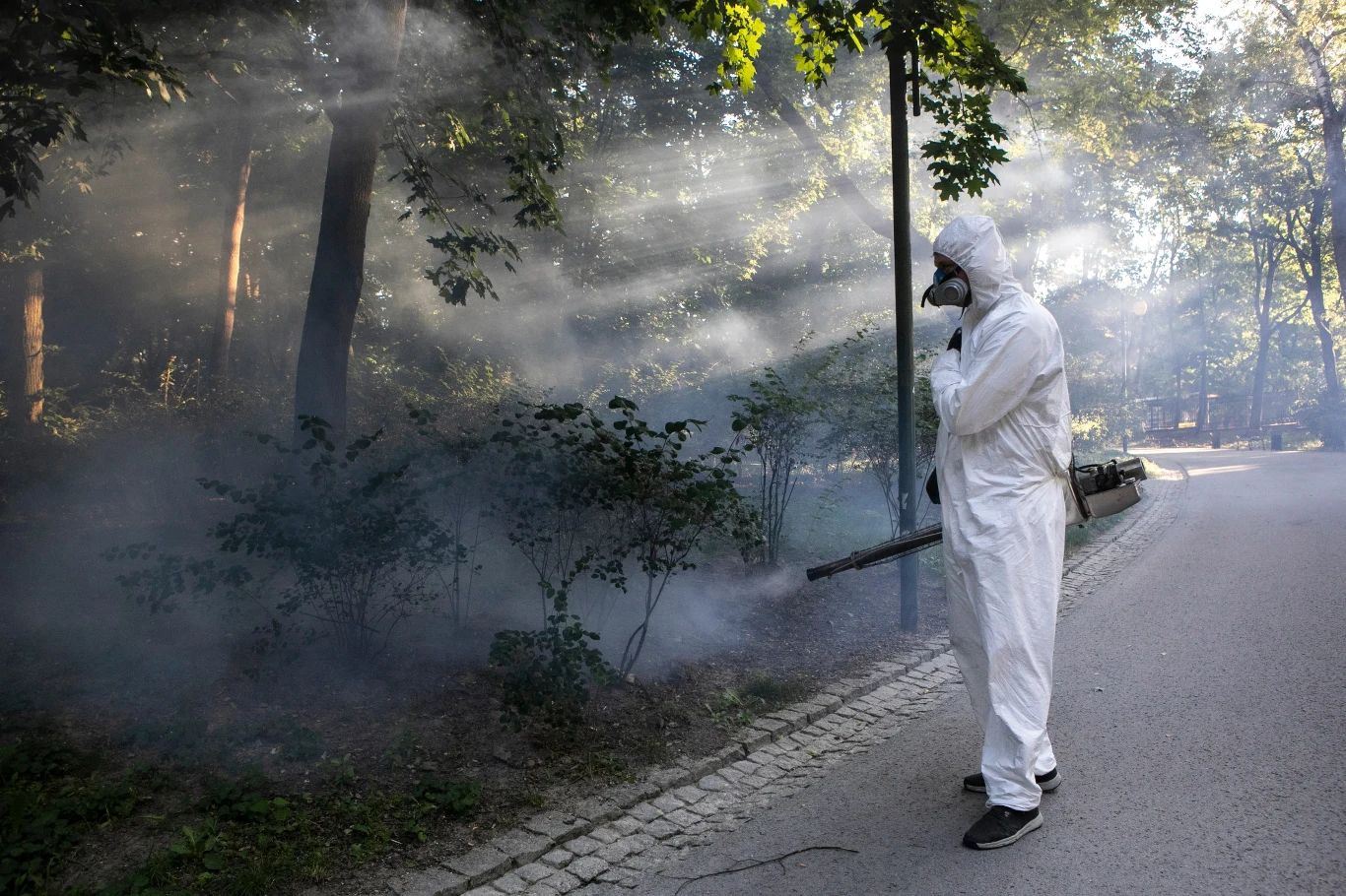 Wyglądający jak bohaterowie filmu “Epidemia” z Dustinem Hoffmanem i Kevinem Spacey, ubrani w specjalne skafandry specjaliści, rozpylili zabójczy dla komarów preparat głównie w parkach i na ścieżkach rowerowych.