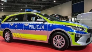 Polska policja będzie "pomagać i chronić"