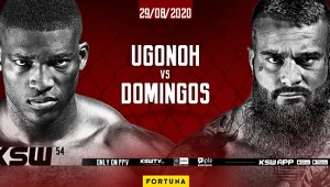 Izu Ugonoh zmierzy sie z Quentinem Domingosem