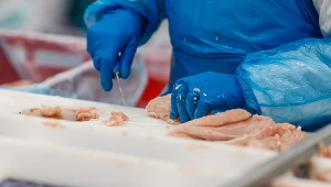 Zakład drobiarski, zdj. ilustracyjne