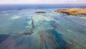 Wyciek oleju u brzegu wyspy Mauritius