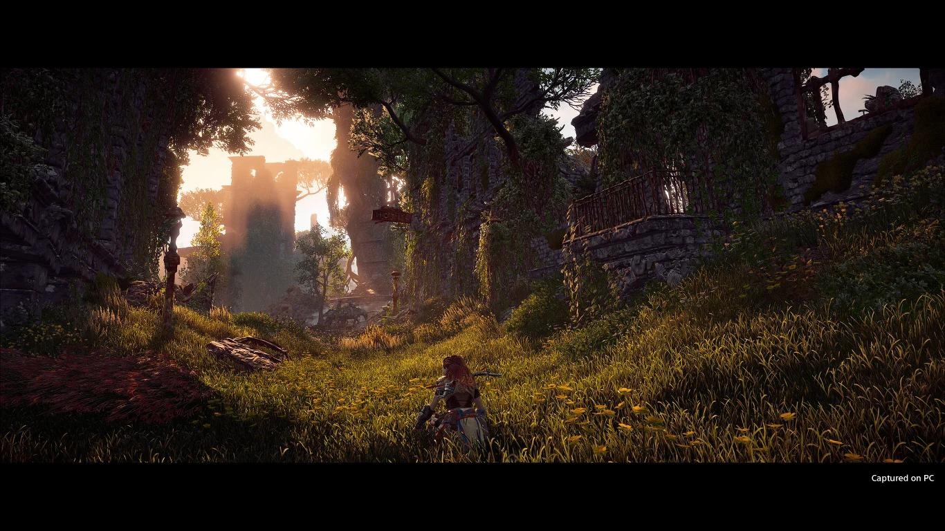 Horizon: Zero Dawn Horizon: Zero Dawn