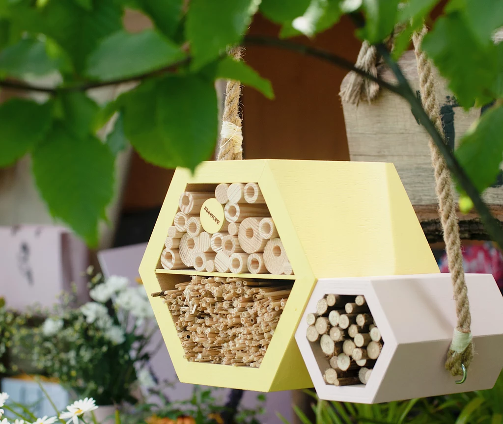 #beeYOPE pomaga pszczołom samotnicom i innym owadom zapylającym 