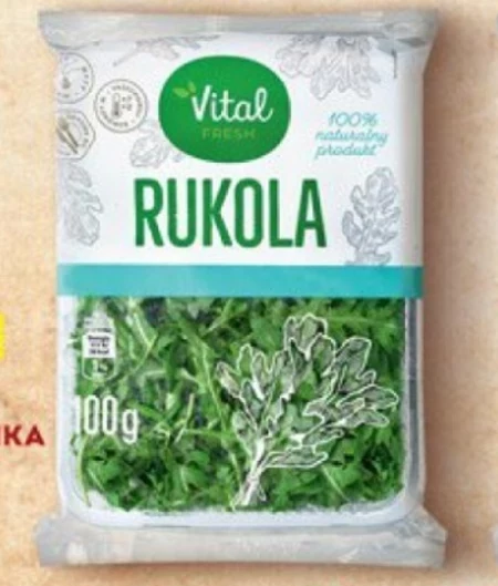 Rukola