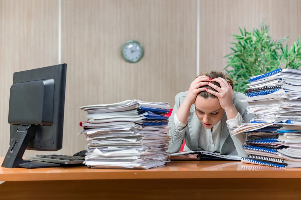 Przedsiębiorcy wciąż skarżą się na te same bolączki, jak niestabilność systemu prawnego, przewlekłość postępowań sądowych i administracyjnych czy niespójne przepisy