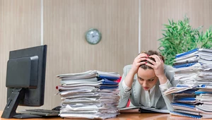 Przedsiębiorcy wciąż skarżą się na te same bolączki, jak niestabilność systemu prawnego, przewlekłość postępowań sądowych i administracyjnych czy niespójne przepisy