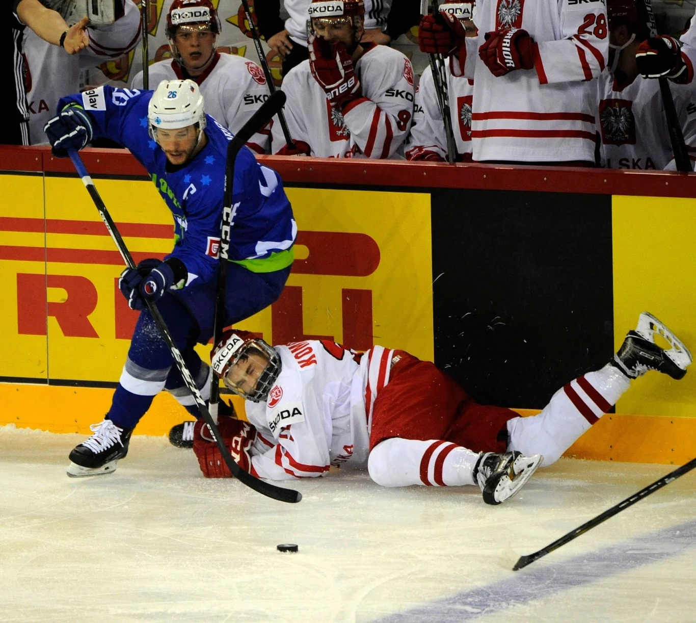 Filip Komorski podczas meczu ze Słowenią Filip Komorski podczas meczu ze Słowenią