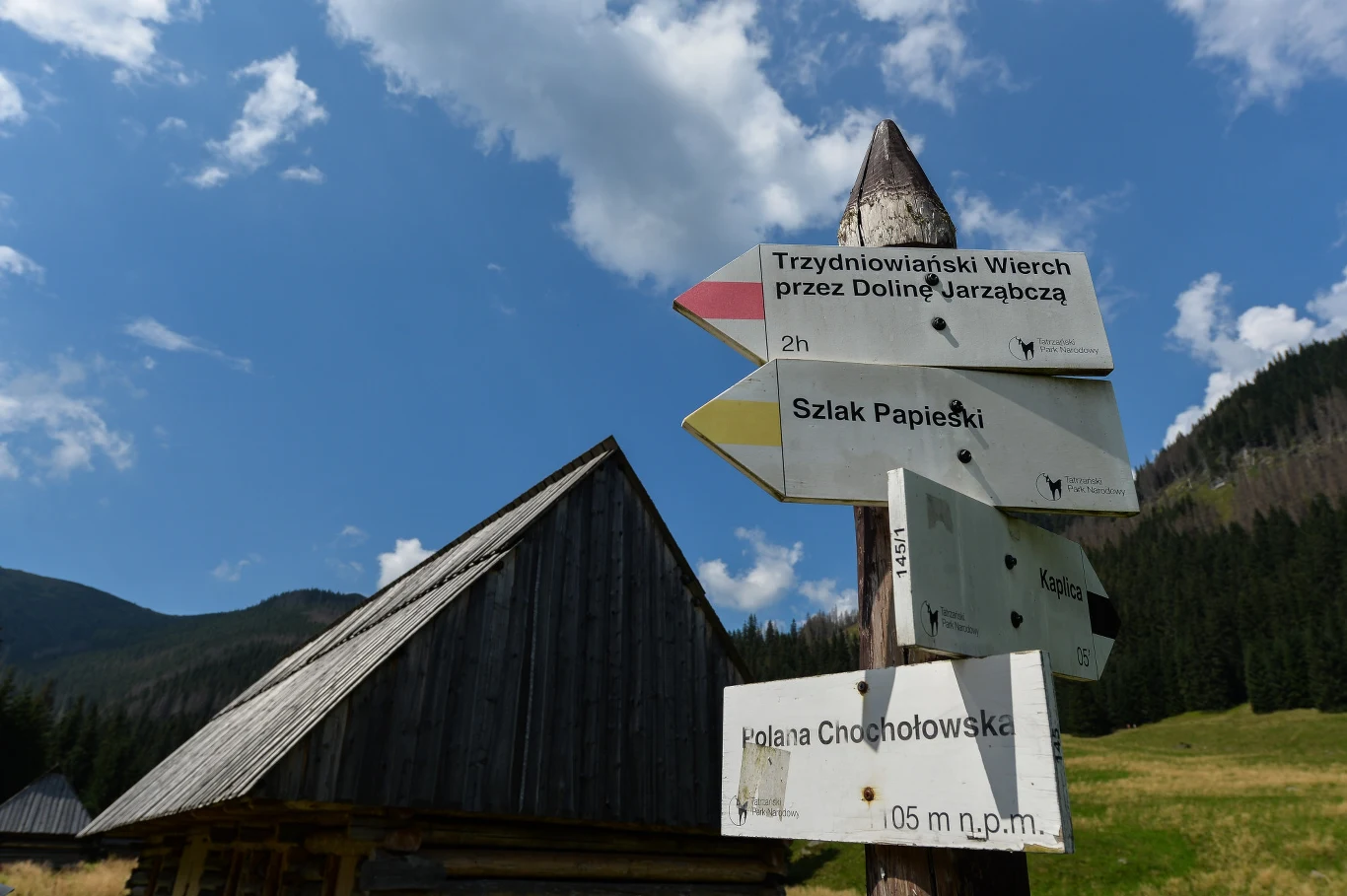 Szlak papieski rozpoczyna się na Polanie Chochołowskiej Szlak papieski rozpoczyna się na Polanie Chochołowskiej
