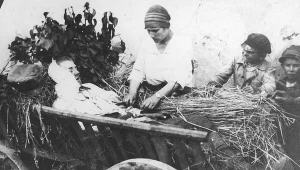 Opatrywanie rannego w bitwie pod Radzyminem, sierpień 1920