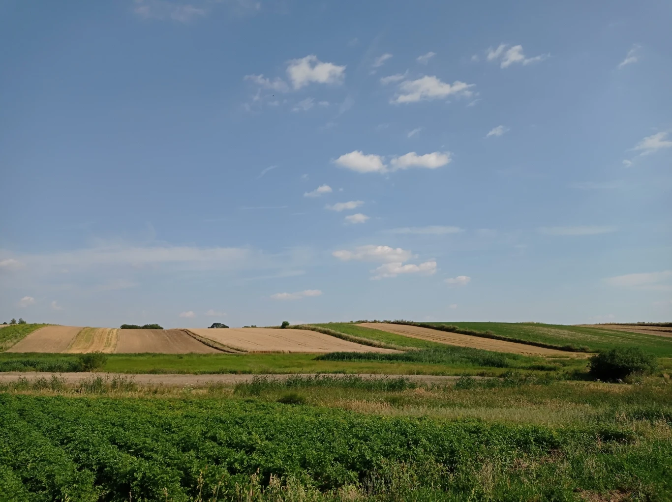 Zdjęcie wykonane Redmi Note 9