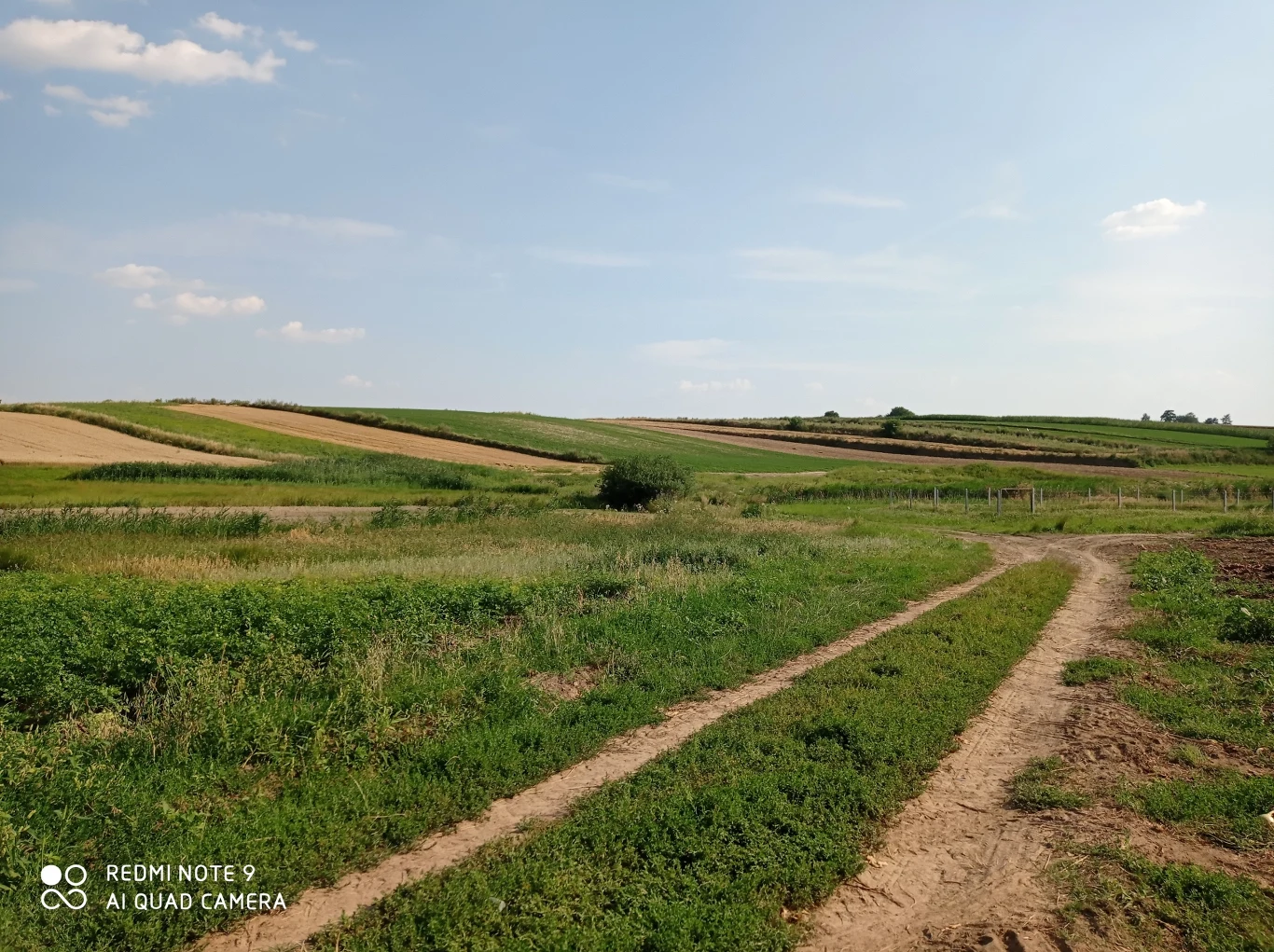 Zdjęcie wykonane Redmi Note 9