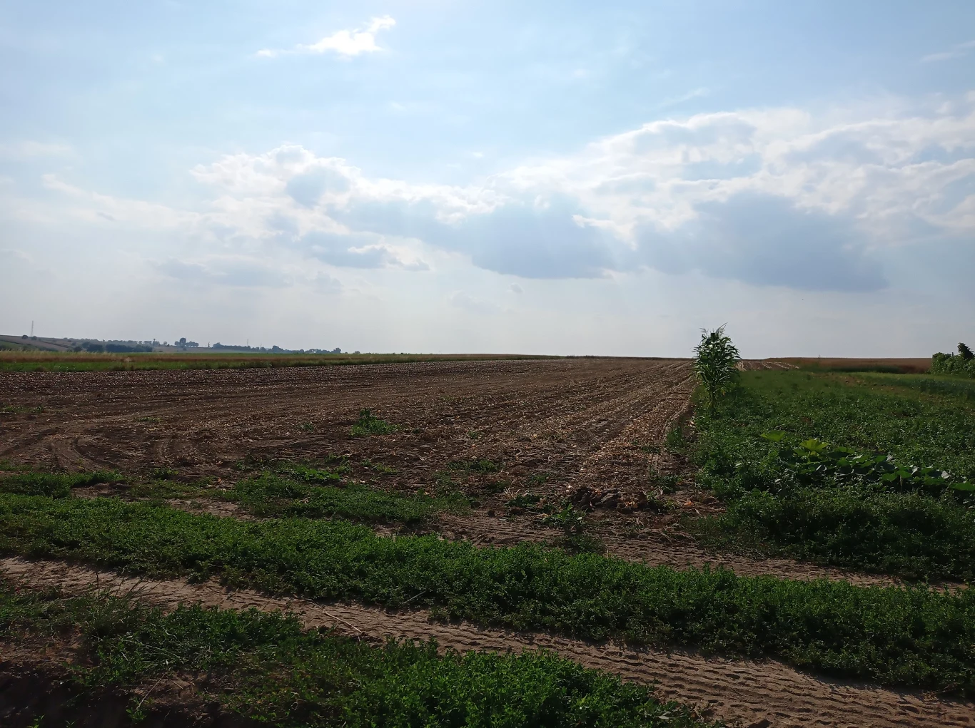 Zdjęcie wykonane Redmi Note 9