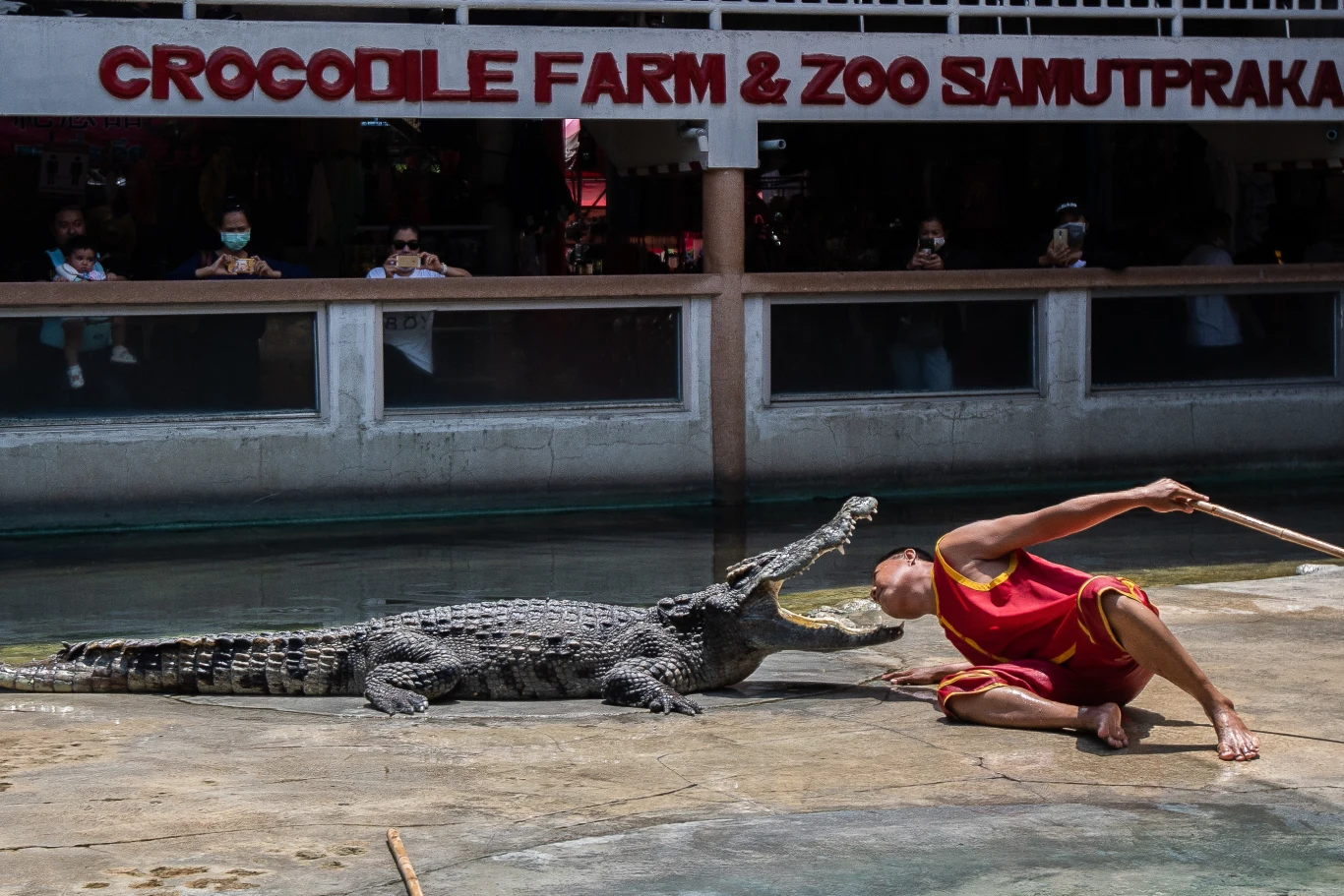Pokaz ich umiejętności to w praktyce kilkuminutowe igraszki z ogromnymi bestiami.