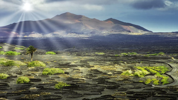 Lanzarote nie przez przypadek zyskała określenie  „Wyspy wulkanów”. Niezwykły księżycowy krajobraz powstał w wyniku silnej aktywności wulkanów. Można go podziwiać na przykład w Parku Narodowym Timanfaya.