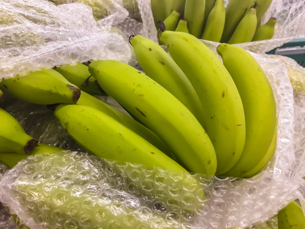19 kg kokainy o wartości czarnorynkowej 5 mln zł znaleziono w bananach 19 kg kokainy o wartości czarnorynkowej 5 mln zł znaleziono w bananach