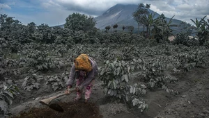 Erupcja wulkanu Sinabung: Upiorny krajobraz po katastrofie