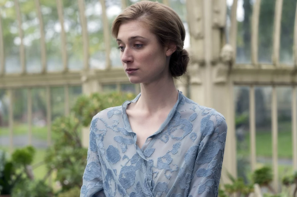 Elizabeth zagrała już wiele postaci filmowych i serialowych, choć głównie były to role drugoplanowe. Zdobyła nawet nagrodę AACTA dla najlepszej aktorki drugoplanowej za rolę w filmie „Wielki Gatsby”. Elizabeth zagrała już wiele postaci filmowych i serialowych, choć głównie były to role drugoplanowe. Zdobyła nawet nagrodę AACTA dla najlepszej aktorki drugoplanowej za rolę w filmie „Wielki Gatsby”.