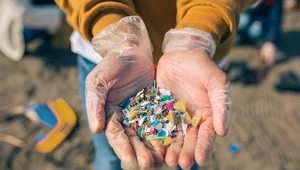 ​Mikroplastik w oceanach to często cząstki farb