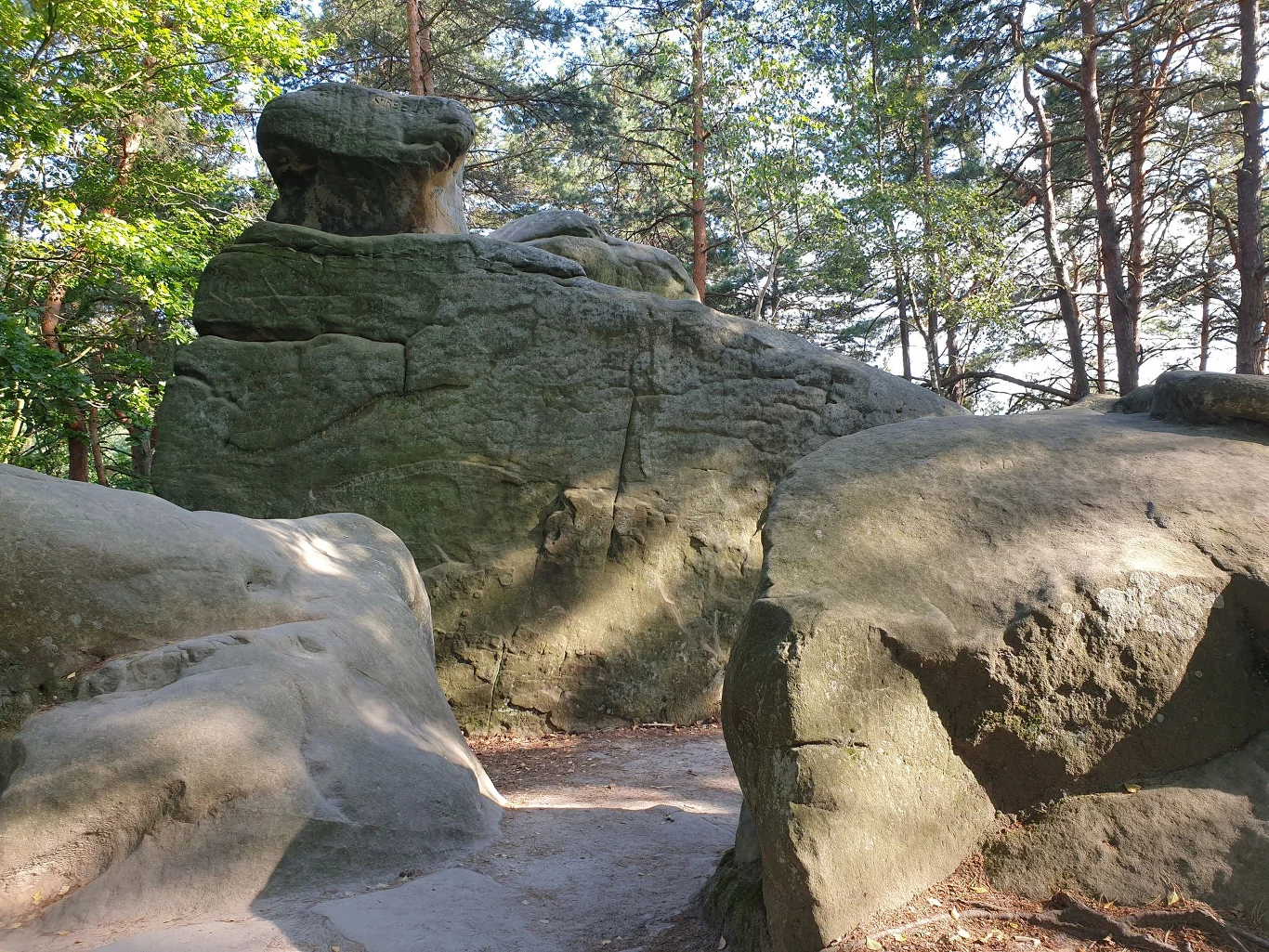 Skalne miasto w Ciężkowicach 