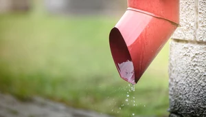 Deszczówkę warto wykorzystywać ponownie. Zwłaszcza teraz, gdy letnie upały są tak dotkliwe