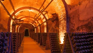 Historyczny kryzys wśród producentów szampana