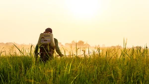 Rolnicy nie dają rady bez Ukraińców....