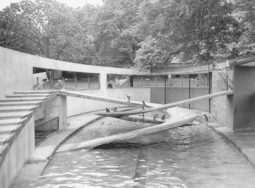 Wybieg w londyńskim zoo podobał się ludziom, ale już nie pingwinom