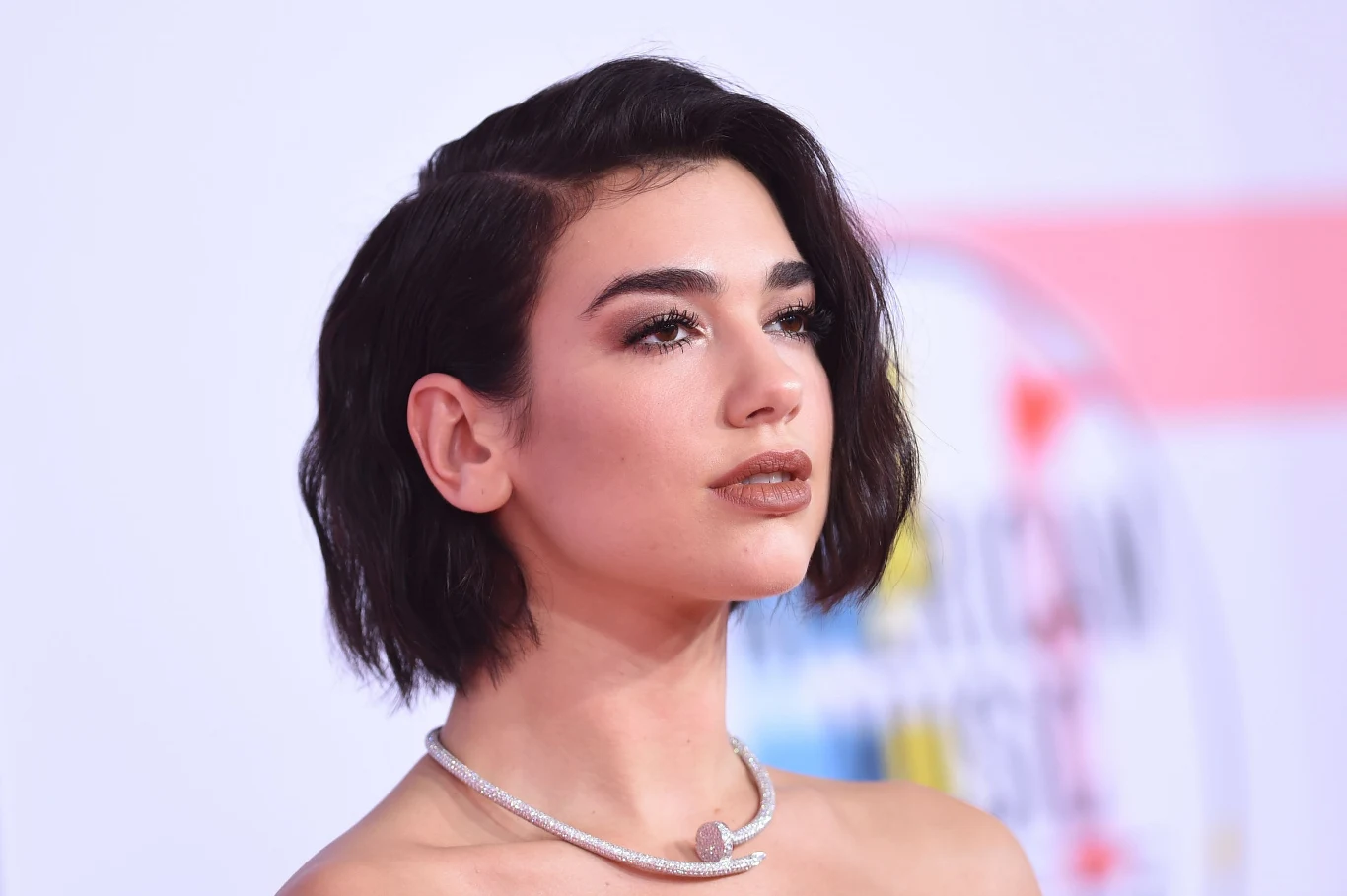 Dua Lipa urodziła się w 1995 roku w Londynie, a jej rodzice to para imigrantów z Prisztiny. W 2008 roku dziewczyna wróciła do Kosowa, gdzie jej ojciec (były wokalista rockowy) otrzymał nową pracę. Dua nie widziała jednak możliwości rozwoju swojej kariery na Bałkanach i zapowiedziała rodzicom, że wraca do Wielkiej Brytanii. Początkująca wokalistka miała wtedy zaledwie 15 lat. Dua Lipa urodziła się w 1995 roku w Londynie, a jej rodzice to para imigrantów z Prisztiny. W 2008 roku dziewczyna wróciła do Kosowa, gdzie jej ojciec (były wokalista rockowy) otrzymał nową pracę. Dua nie widziała jednak możliwości rozwoju swojej kariery na Bałkanach i zapowiedziała rodzicom, że wraca do Wielkiej Brytanii. Początkująca wokalistka miała wtedy zaledwie 15 lat.