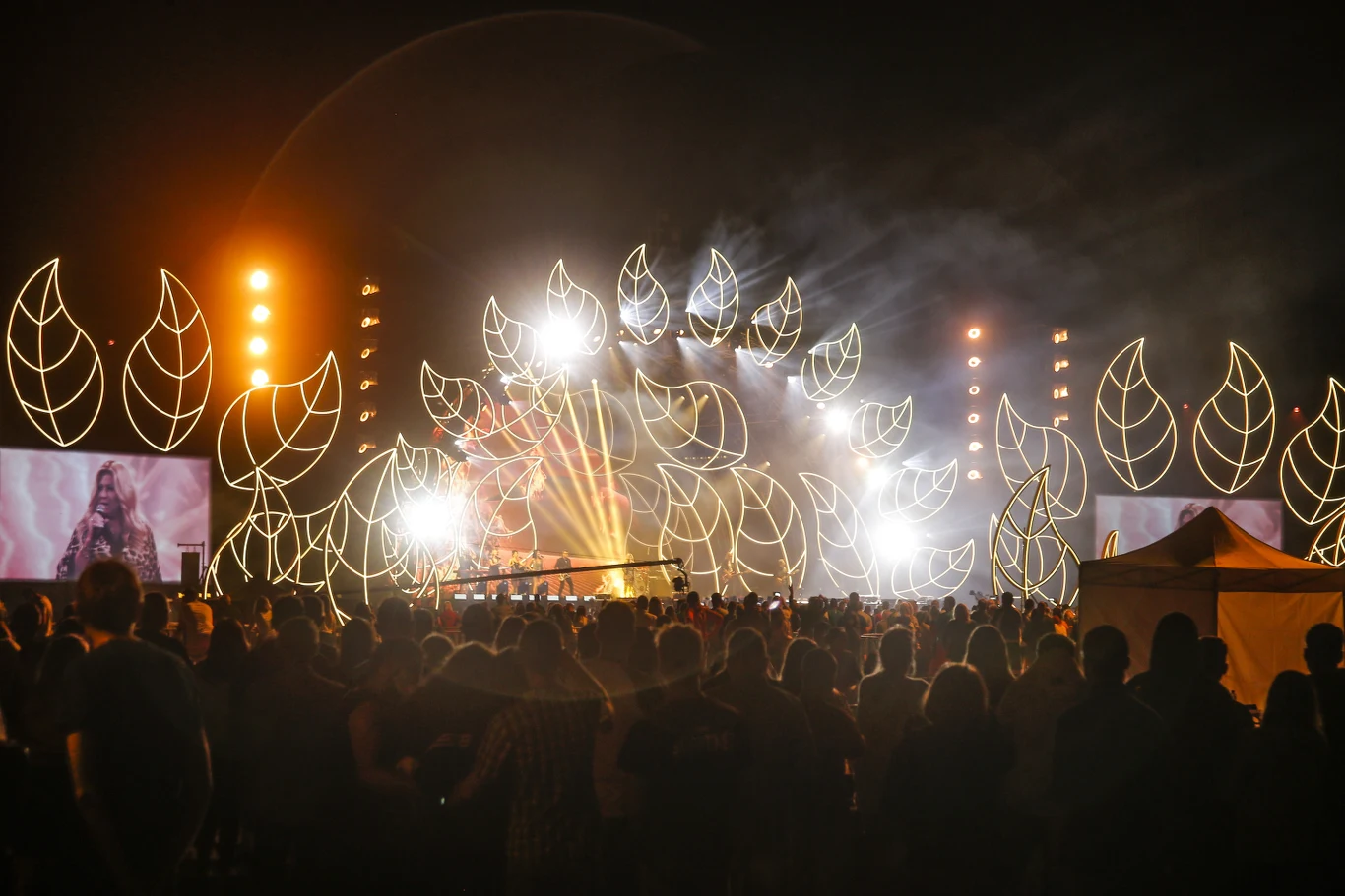 Koncert Earth Festival. Gwiazdy dla Czystej Polski