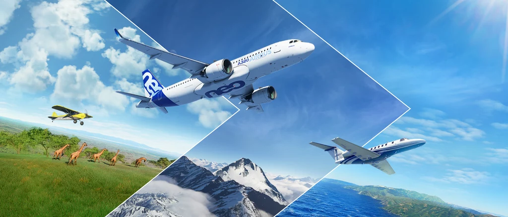 Microsoft Flight Simulator