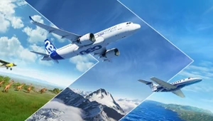 Microsoft Flight Simulator